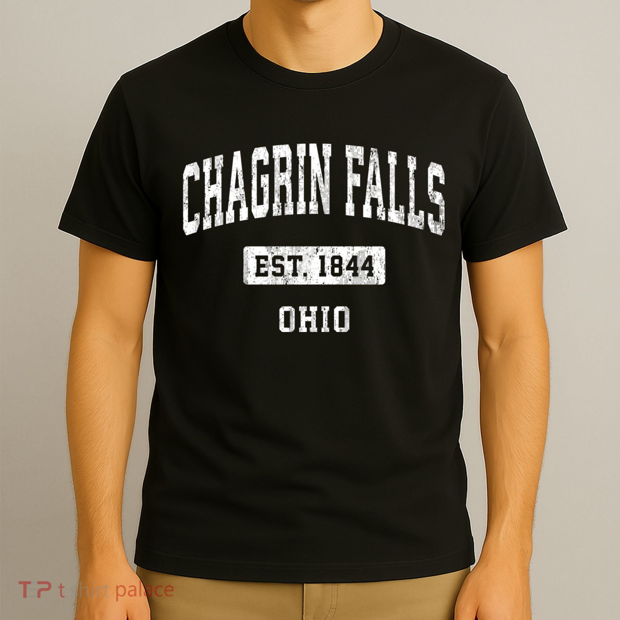 Chagrin Falls Ohio Oh Vintage Sports Established T-Shirt