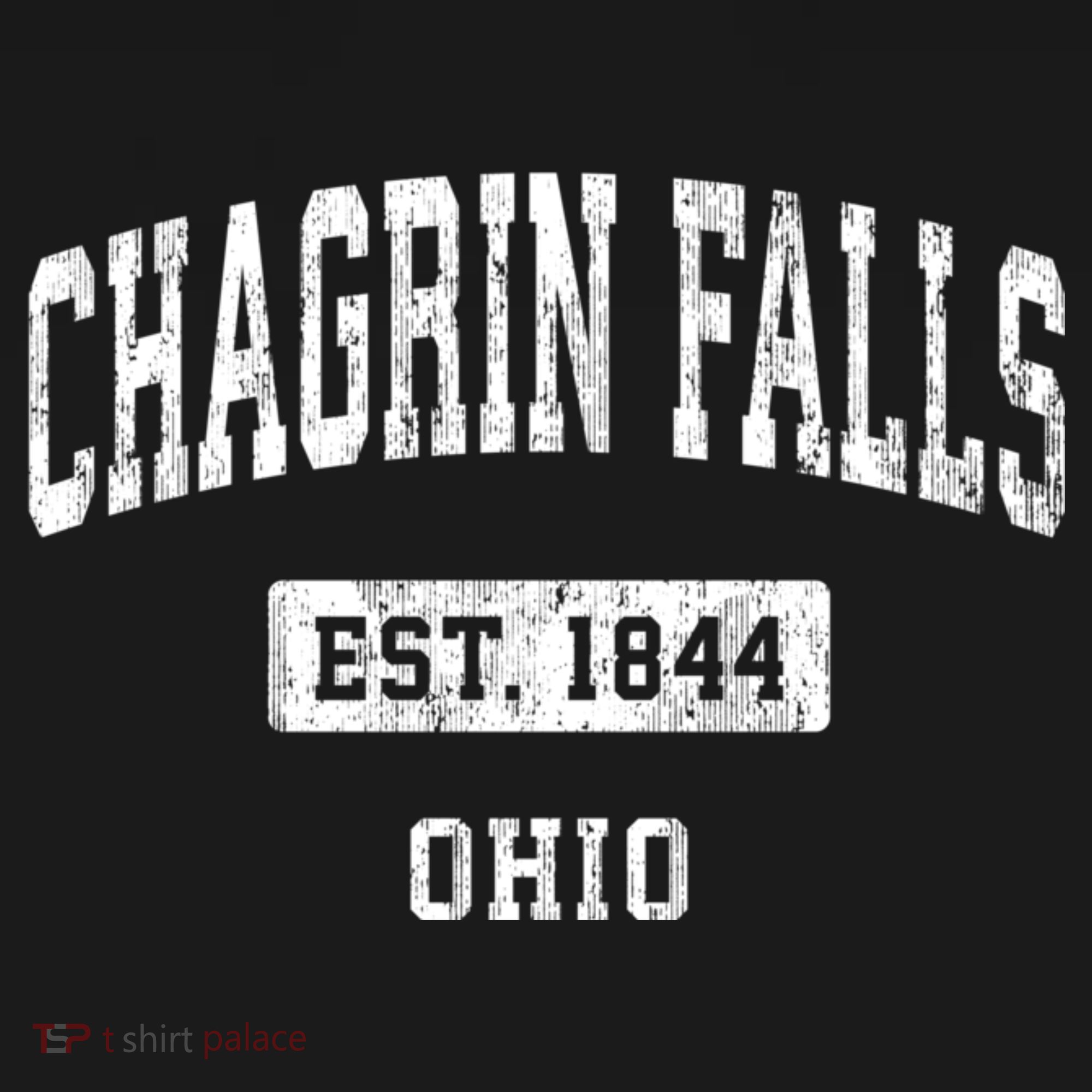 Chagrin Falls Ohio Oh Vintage Sports Established T-Shirt