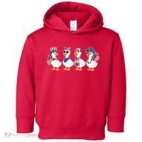 Cute Fourth Of July Patriotic Goose Group Toddler Hoodie thumb 0