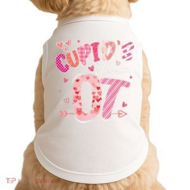 Cupid's Favorite OT Occupational Therapist Therapy Valentine Doggie Tank