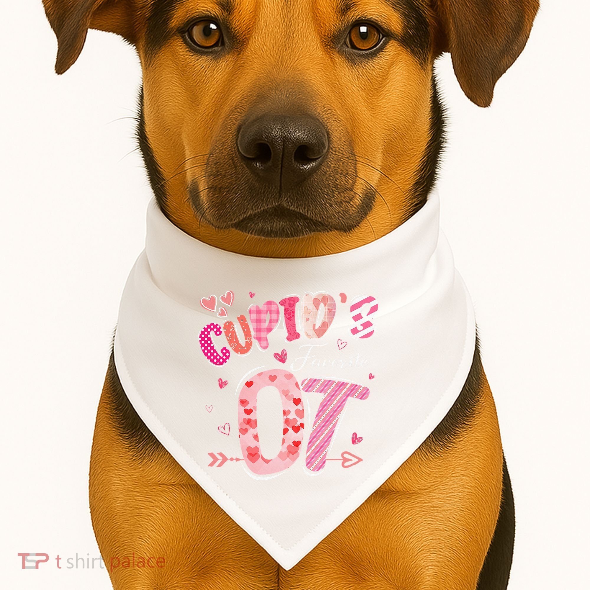 Cupid's Favorite OT Occupational Therapist Therapy Valentine USA-Made Doggie Bandana