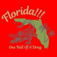 Crocodile Florida One Hell Of A Drug Ttpd Santa Hat thumb 1