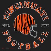Cincinnati Football Ohio Beanie thumb 2