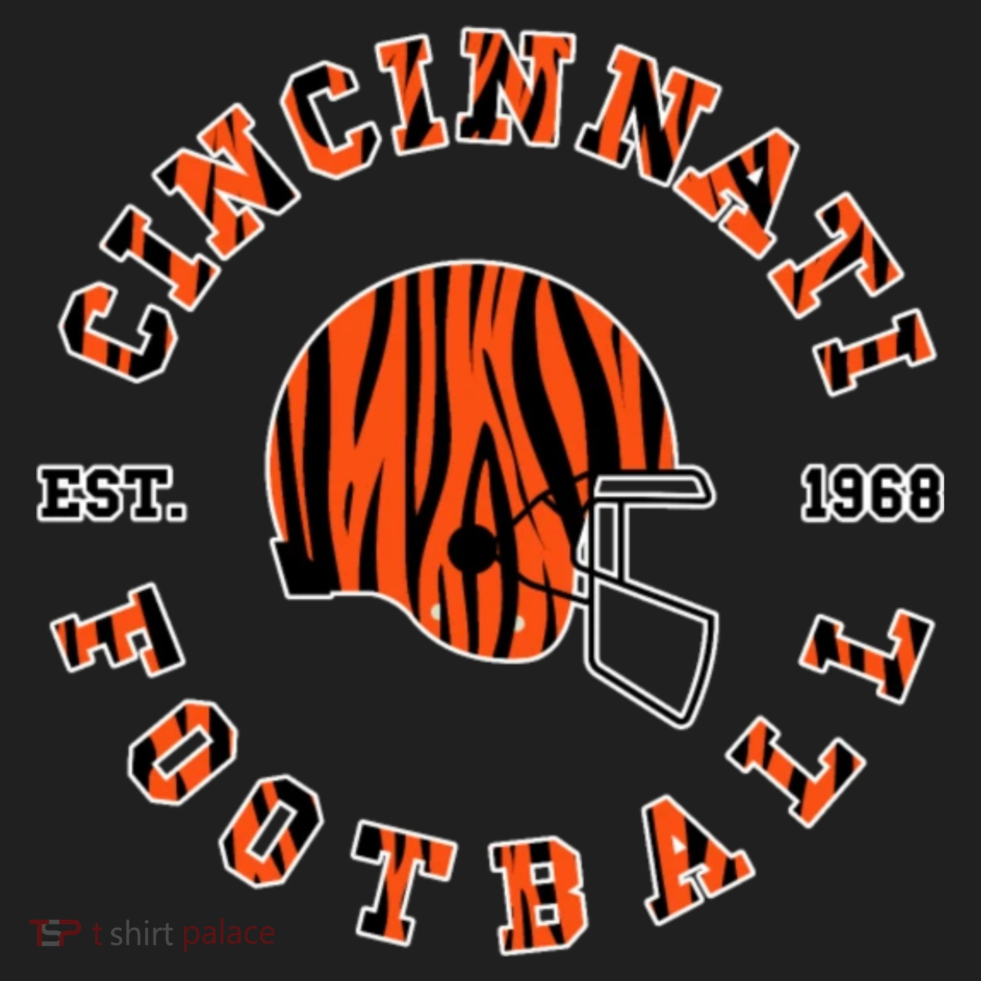 Cincinnati Football Ohio Beanie