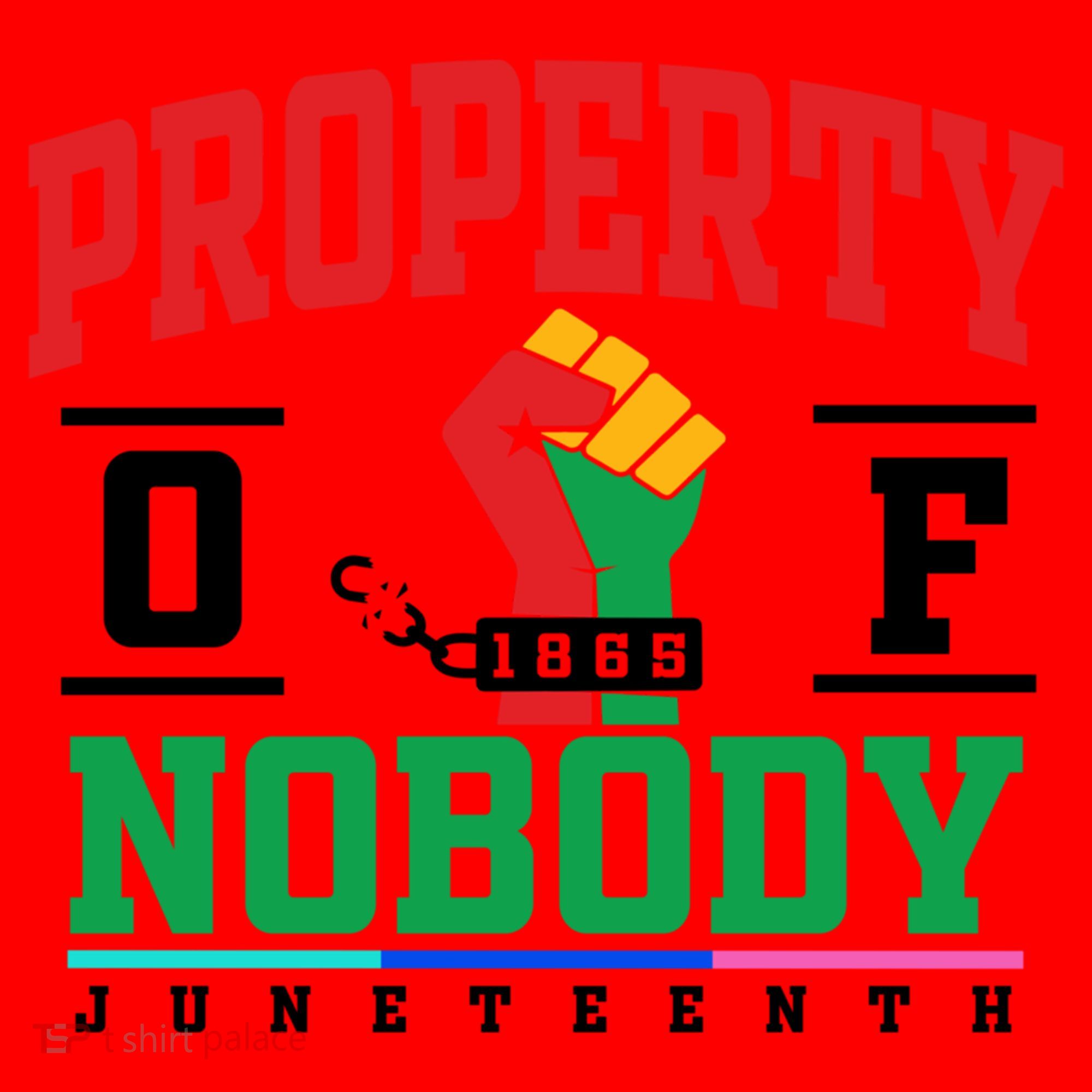 Classic Funny Property Of Nobody Freedom Melanin Junenth Gift Santa Hat