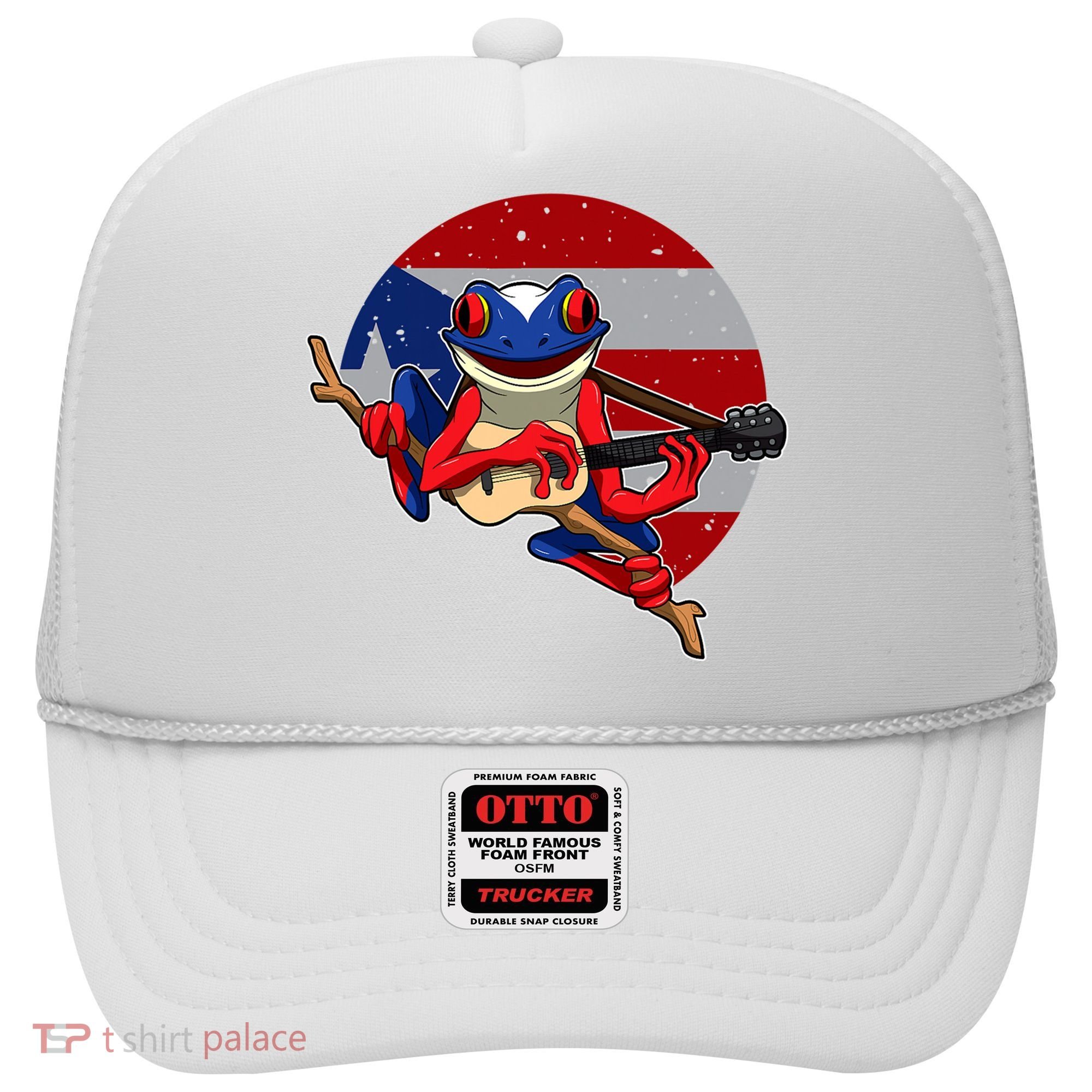 Coqui Frog Playing Guitar Puerto Rico Animal Hat