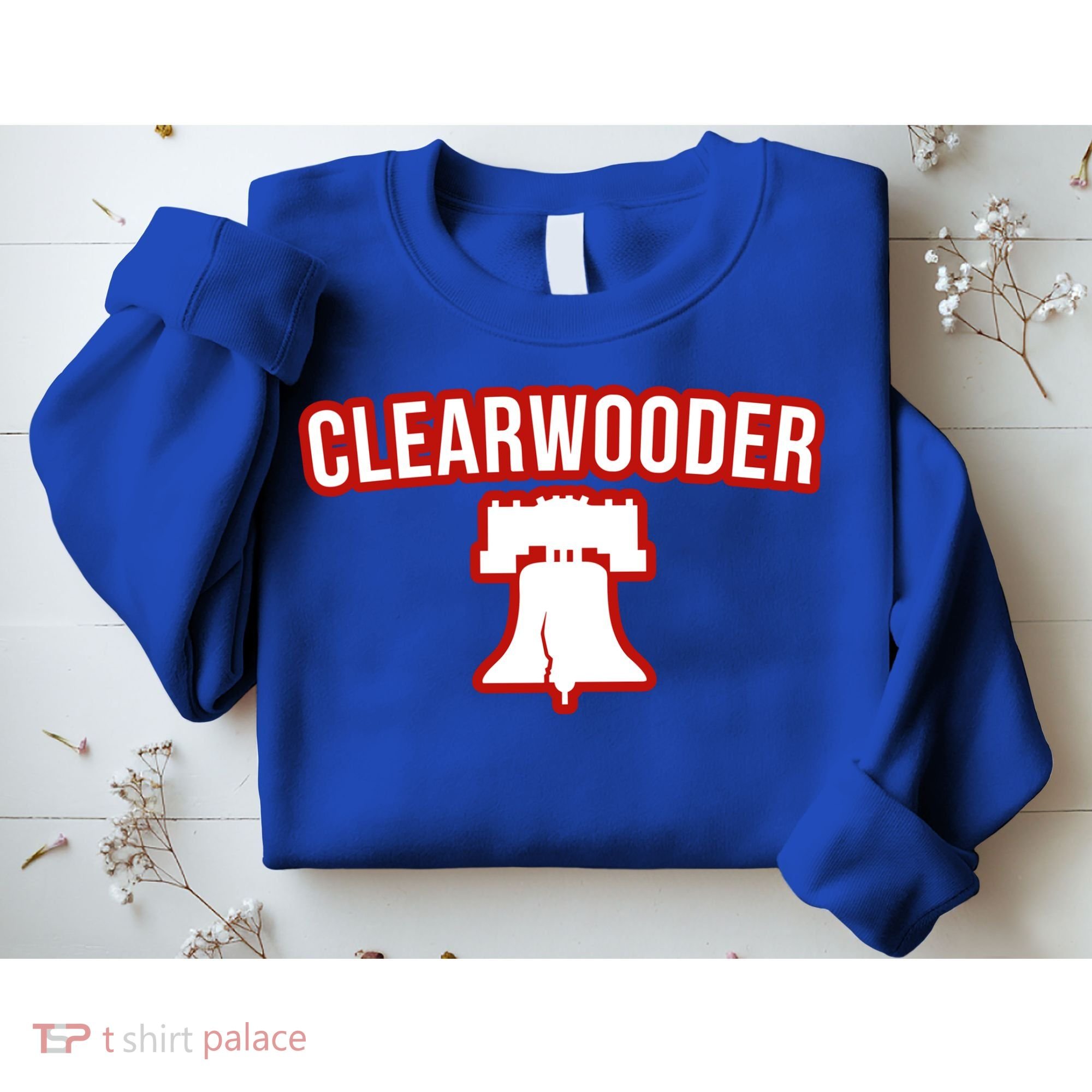 Clearwooder Florida Philadelphia Baseball Spring Training Gift Sweatshirt