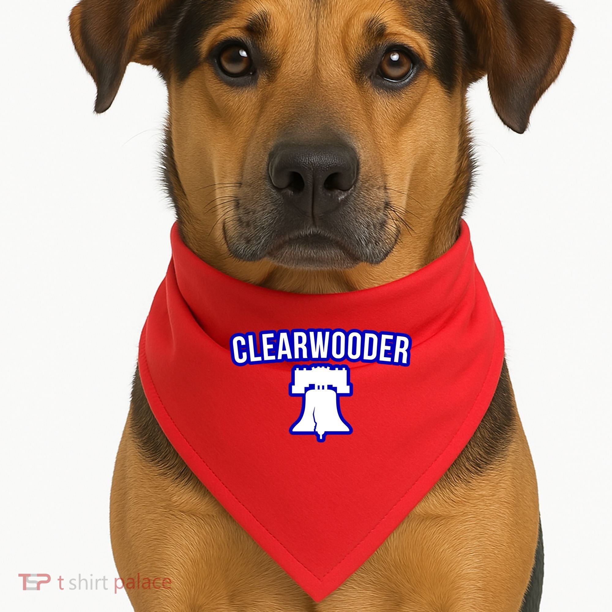 Clearwooder Florida Philadelphia Baseball Spring Training Gift USA-Made Doggie Bandana