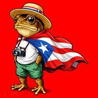 Coqui Frog Puerto Rico Flag Rican Taino Boricua Santa Hat thumb 1