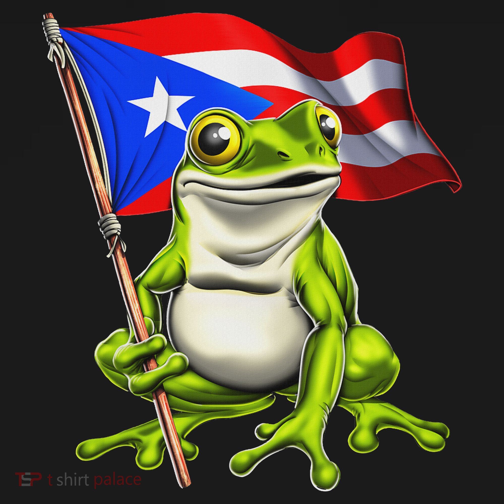 Coqui Frog Puerto Rico Flag Taino Boricua Ornament