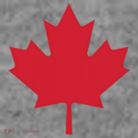 Canadian Flag Red Maple Leaf Canada Day Toddler Hoodie thumb 2