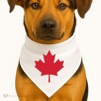 Canadian Flag Red Maple Leaf Canada Day USA-Made Doggie Bandana thumb 1