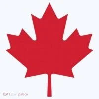 Canadian Flag Red Maple Leaf Canada Day Kids Long Sleeve Shirt thumb 2