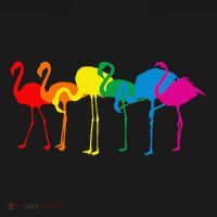 Cute Flamingo Rainbow Flamingo Women's Hoodie thumb 2