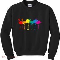 Cute Flamingo Rainbow Flamingo Kids Sweatshirt thumb 0