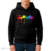 Cute Flamingo Rainbow Flamingo Kids Hoodie thumb 4