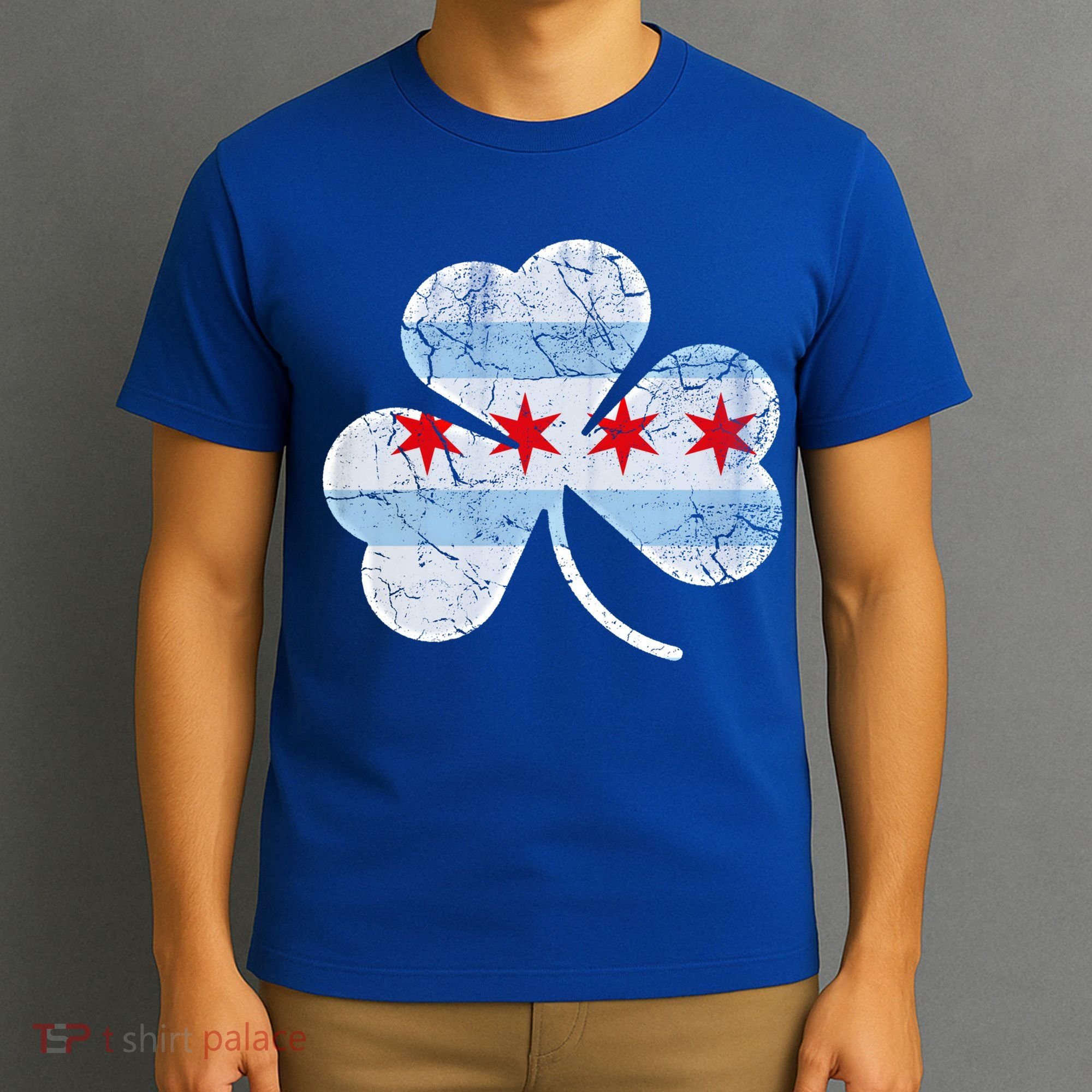Chicago Flag Shamrock Irish St Patricks Day Family Funny Gift T-Shirt