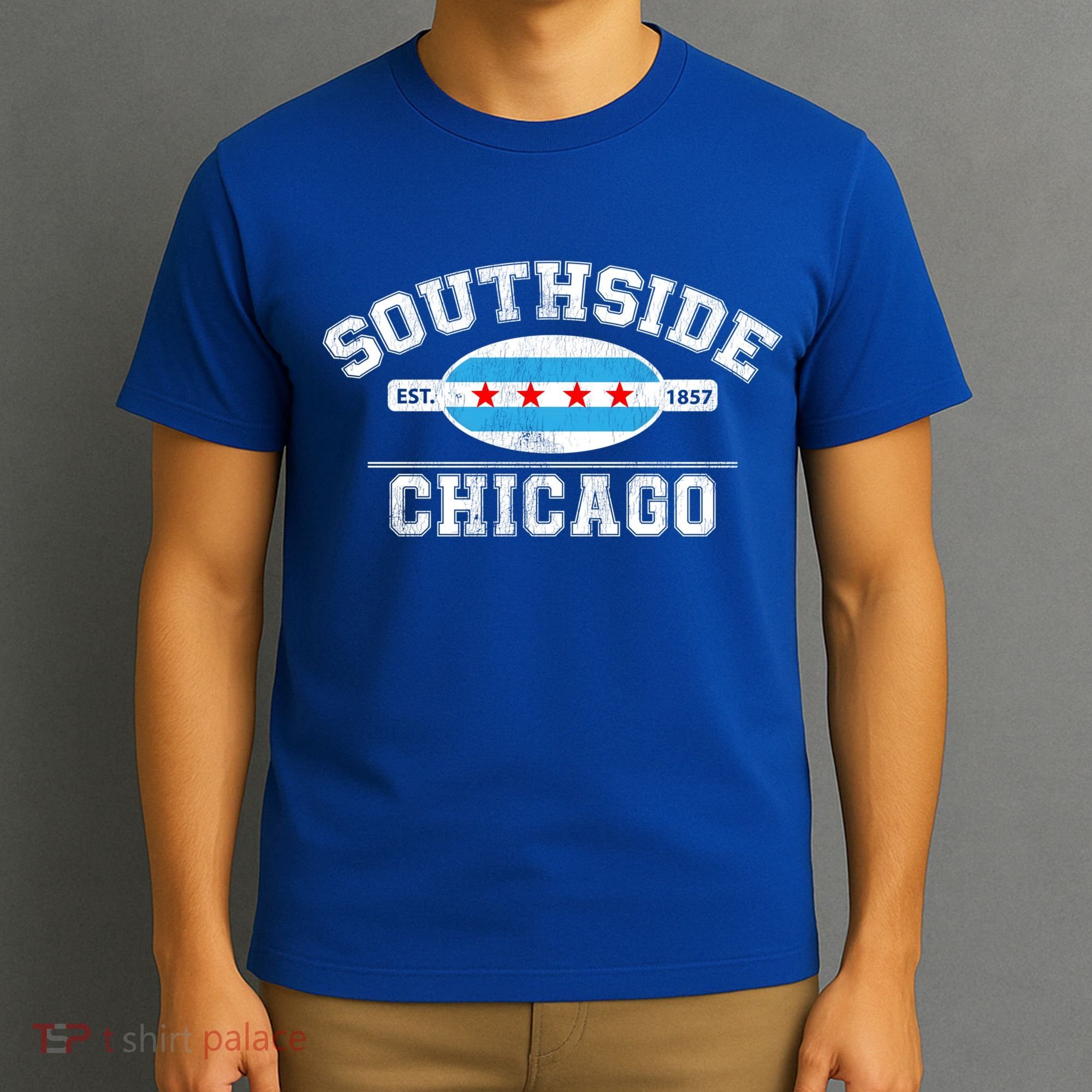 Chicago Flaggift Southside Chicagogift City Of Chicago Flag Meaningful Gift T-Shirt