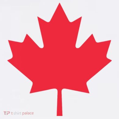 Canadian Flag Shirts Red Maple Leaf Canada Day Women's Crop Top Tee