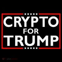 Crypto For Trump President Election 2024 Pro Cryptocurrency Women's Hoodie thumb 2