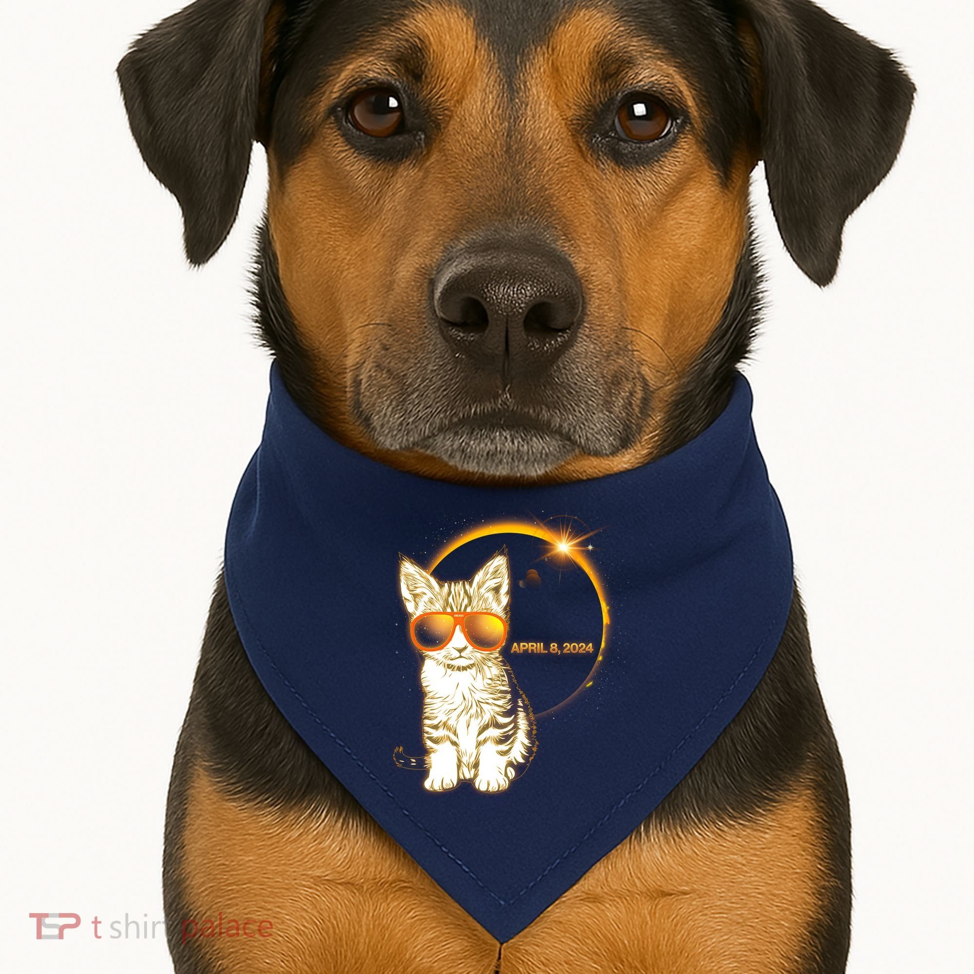 Cool Funny Total Solar Eclipse April 8 2024 Sunglasses Cat Kitten USA-Made Doggie Bandana