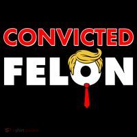 Convicted Felon Trump Hoodie thumb 7