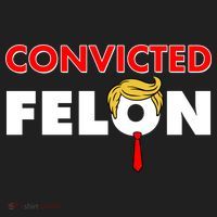 Convicted Felon Trump Beanie thumb 2
