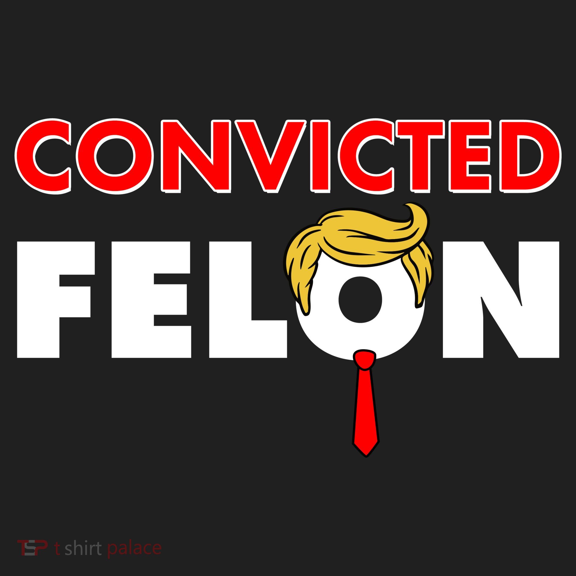 Convicted Felon Trump Hat