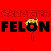 Convicted Felon Trump Santa Hat thumb 1
