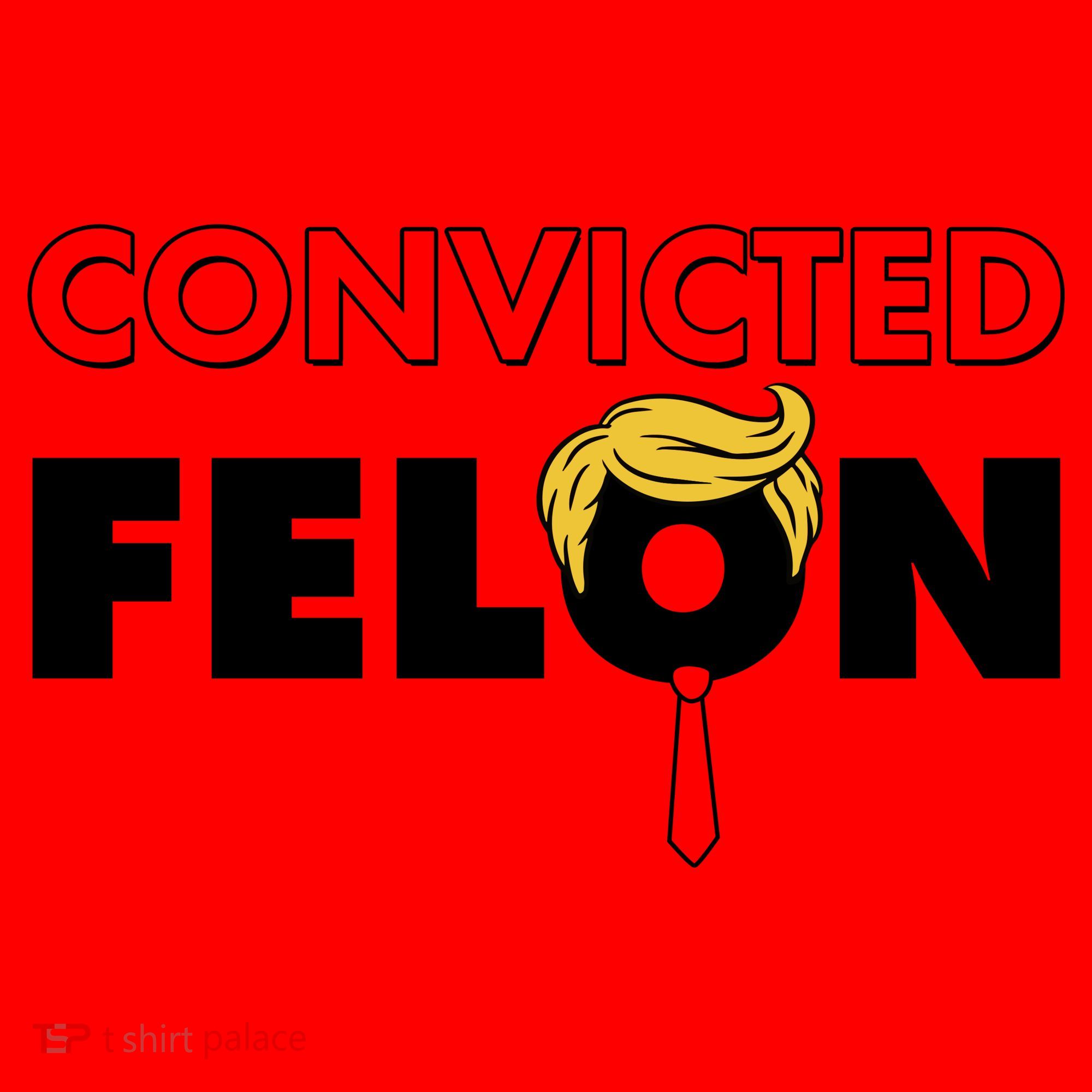 Convicted Felon Trump Santa Hat