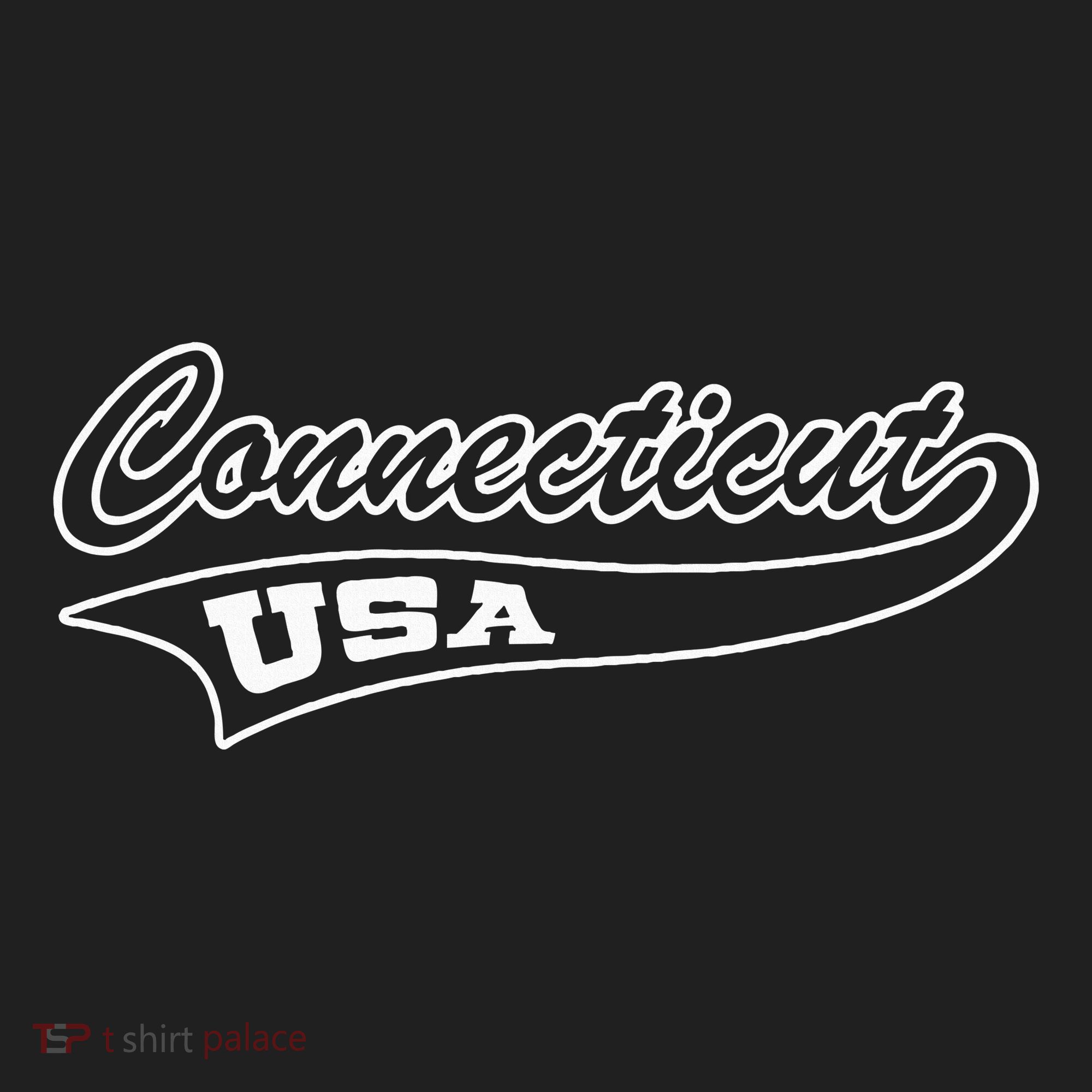 Connecticut Gifts Beanie