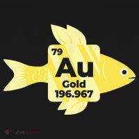 Chemistry Goldfish Chemical Symbol Chemist Doggie Tank thumb 4