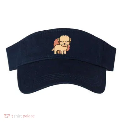 Visor