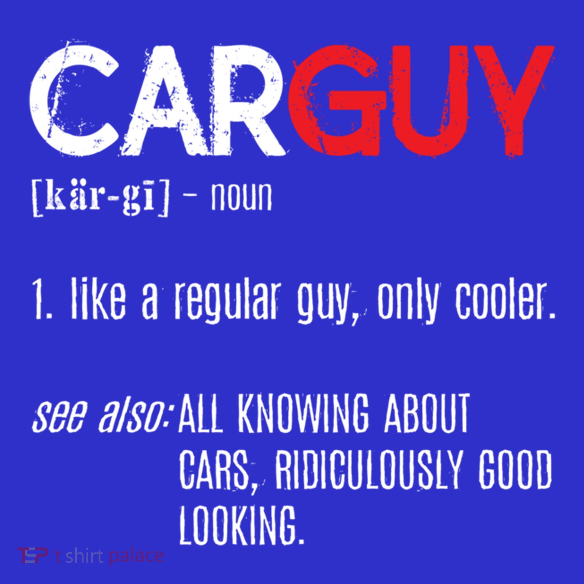 Car Guy Definition Gift Mechanic Funny Gift Car Lover Collectors Gift Hoodie
