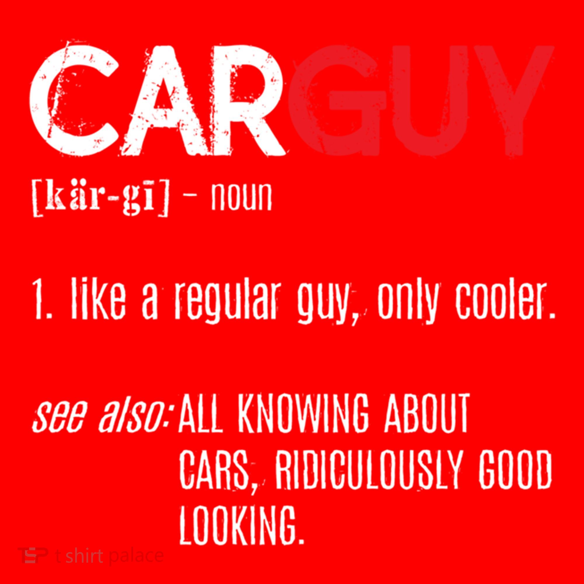 Car Guy Definition Gift Mechanic Funny Gift Car Lover Collectors Gift Santa Hat