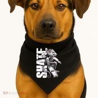 Cool Grunge Distressed Skateboarding Rat Mouse USA-Made Doggie Bandana thumb 1