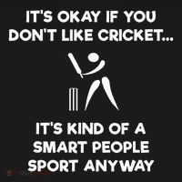 Cricket Game Funny Smart Player Polo thumb 3