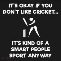 Cricket Game Funny Smart Player Women's Long Sleeve Shirt thumb 2