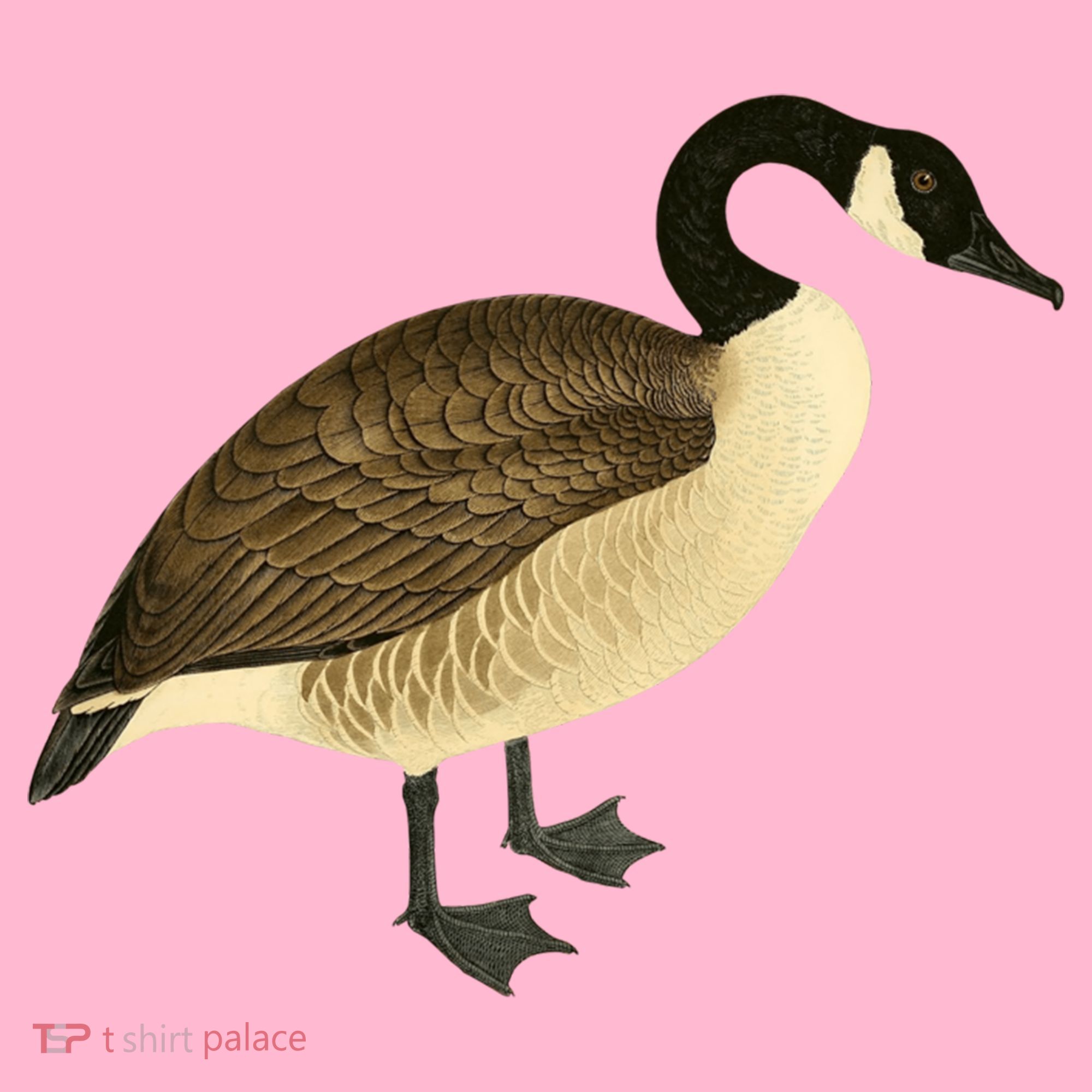Canada Goose Gift Canadian Goose I Love Canada Coaster