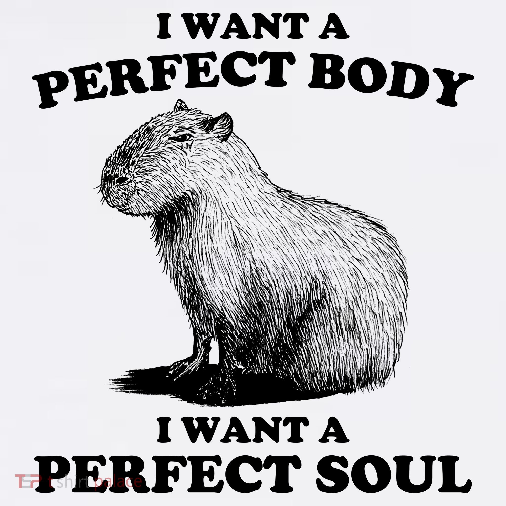 Capybara Gifts I Want A Perfect Body I Want A Perfect Soul T-Shirt