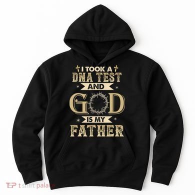 Christian Gift I Took A DNA Test and God Is My Father Hoodie