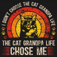 Cat Grandpa Life Cat Lover Grandpa Cat Grandfather T-Shirt thumb 7