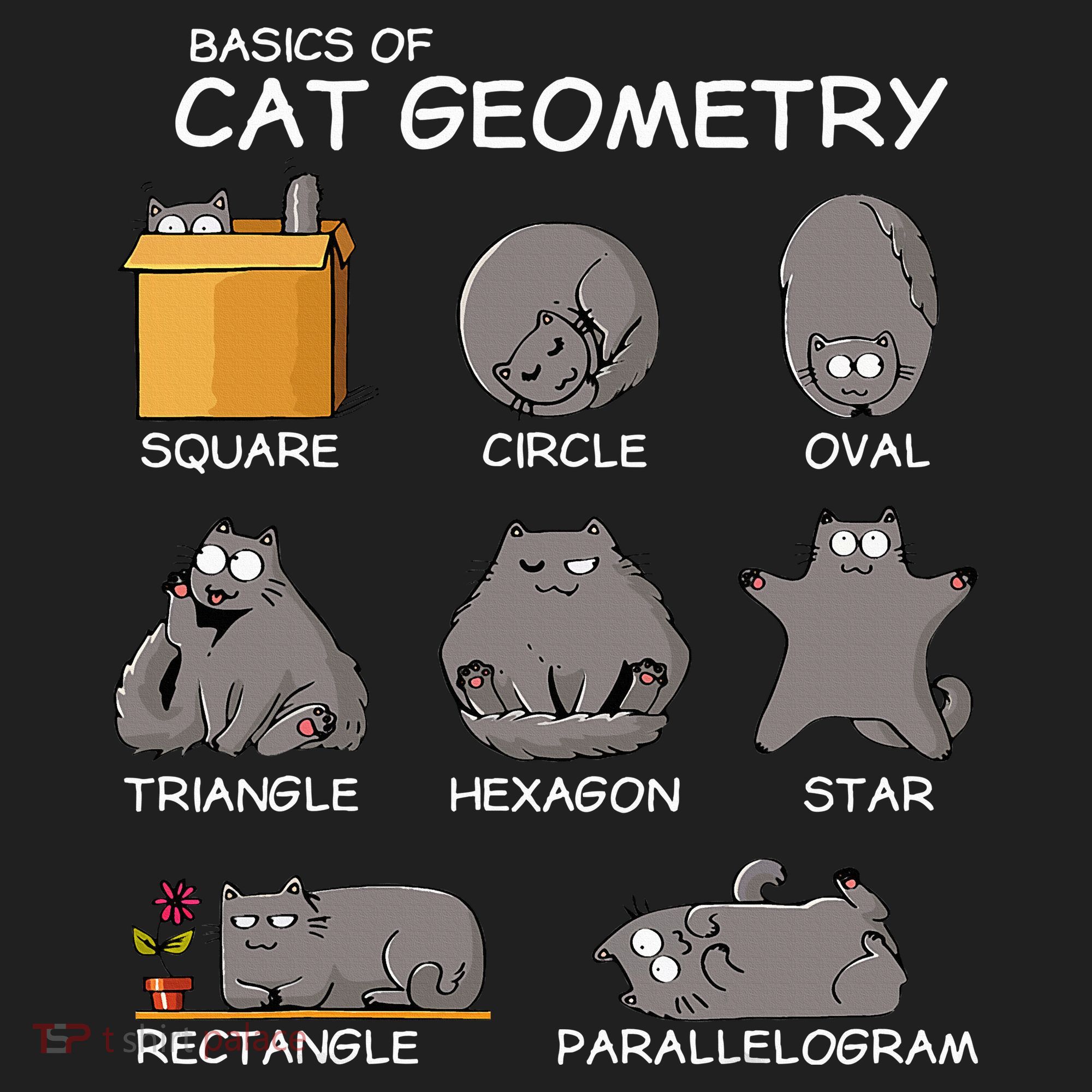 Cat Geometry Math Funny Cat Gifts For Cat Dad Cat Mom Beanie