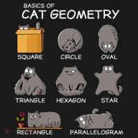 Cat Geometry Math Funny Cat Gifts For Cat Dad Cat Mom Women's Hoodie thumb 2