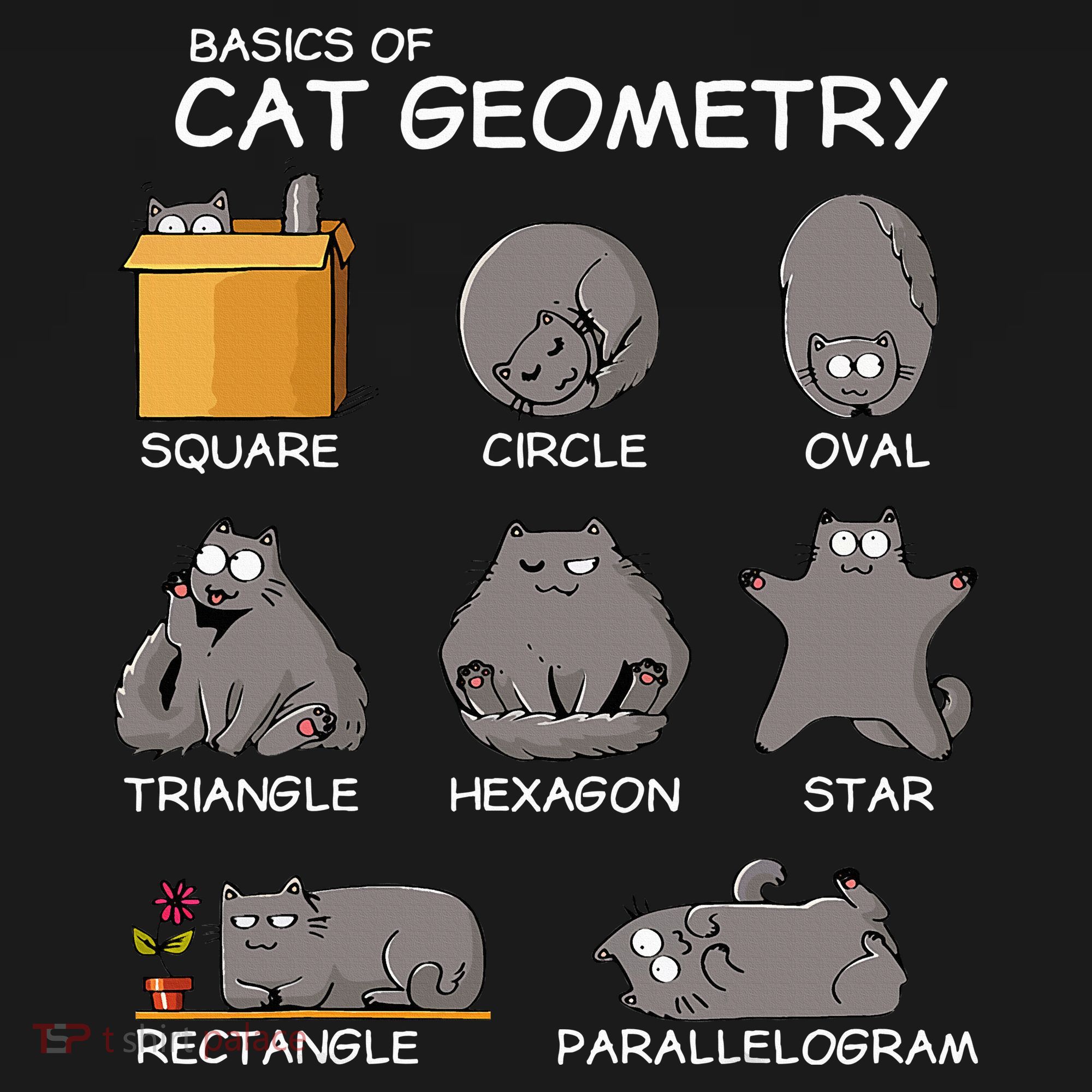 Cat Geometry Math Funny Cat Gifts For Cat Dad Cat Mom Women's Hoodie