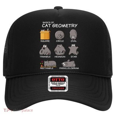 Cat Geometry Math Funny Cat Gifts For Cat Dad Cat Mom Hat
