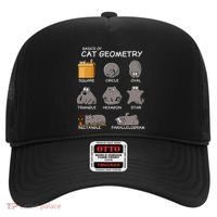 Cat Geometry Math Funny Cat Gifts For Cat Dad Cat Mom Hat thumb 0