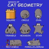 Cat Geometry Math Funny Cat Gifts For Cat Dad Cat Mom Women's Tank Top thumb 5