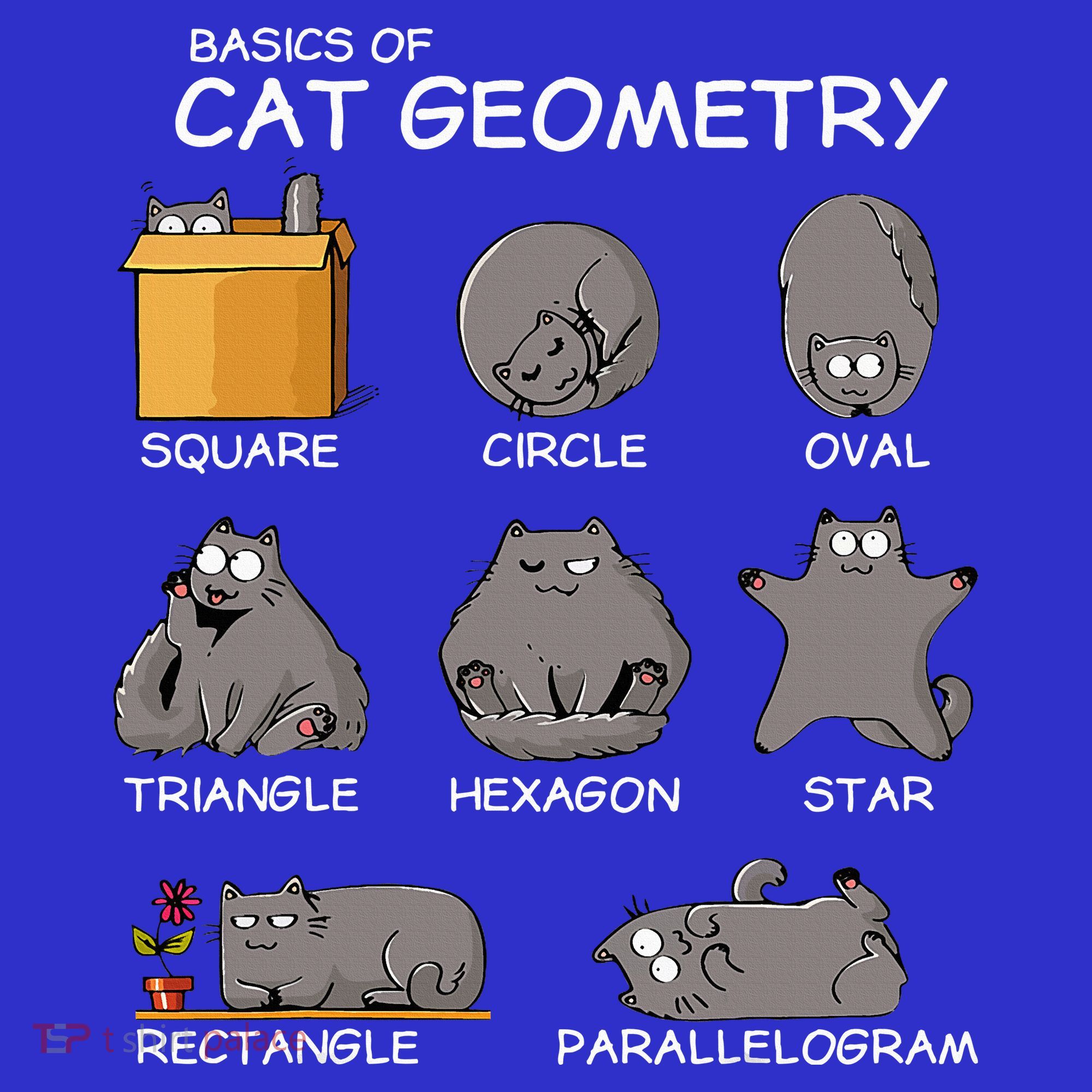 Cat Geometry Math Funny Cat Gifts For Cat Dad Cat Mom Women's Tank Top