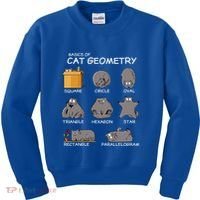 Cat Geometry Math Funny Cat Gifts For Cat Dad Cat Mom Kids Sweatshirt thumb 0